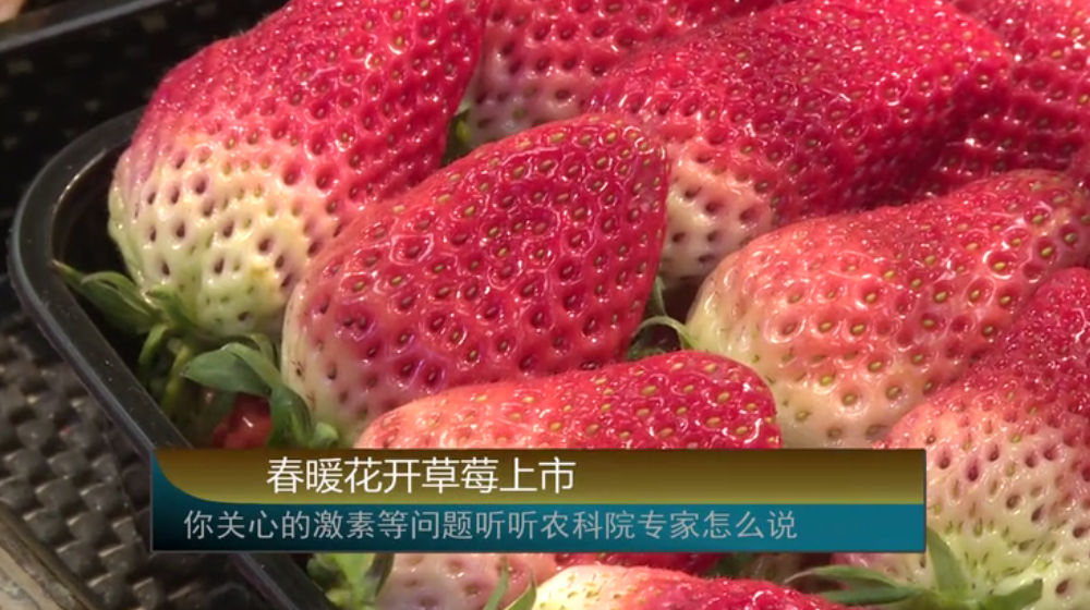 ��ů���_��ݮ���������P�ĵļ��صȆ��}  �r��Ժ������ô�f